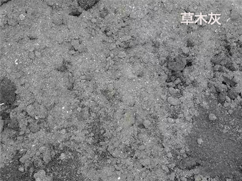 1582779291602909.jpg 111.jpg