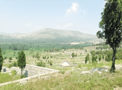 1574755331390395.png 11.png