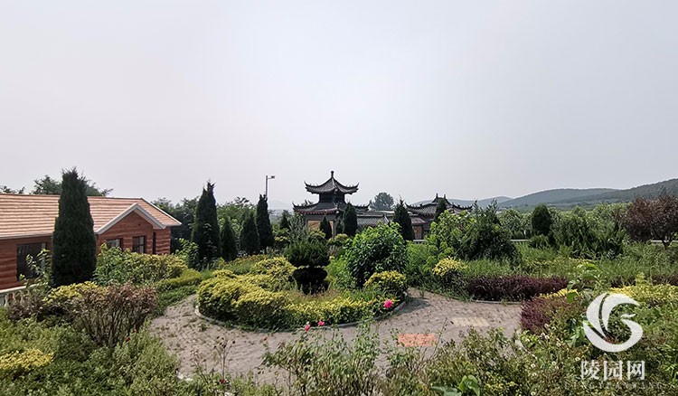 1608081170404743.jpg 13.jpg